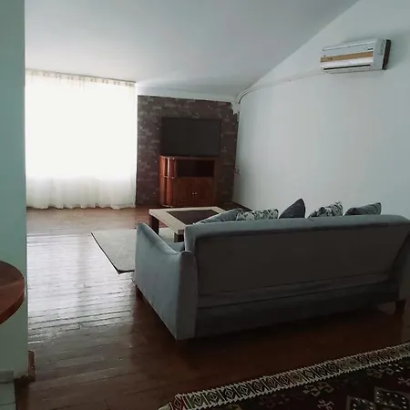 Old Greek House 公寓